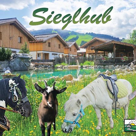 Sieglhub Chalets - Appartements - Hotel 弗拉绍 外观 照片