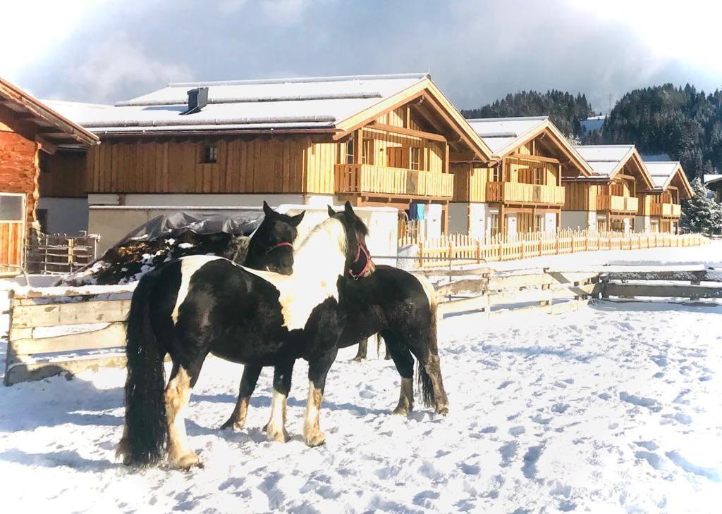 Sieglhub Chalets - Appartements - Hotel 弗拉绍 外观 照片