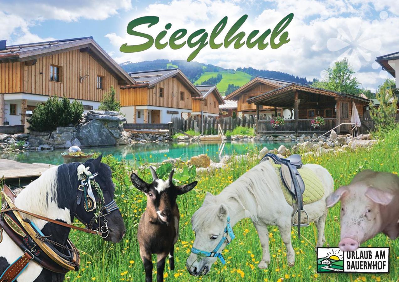Sieglhub Chalets - Appartements - Hotel 弗拉绍 外观 照片